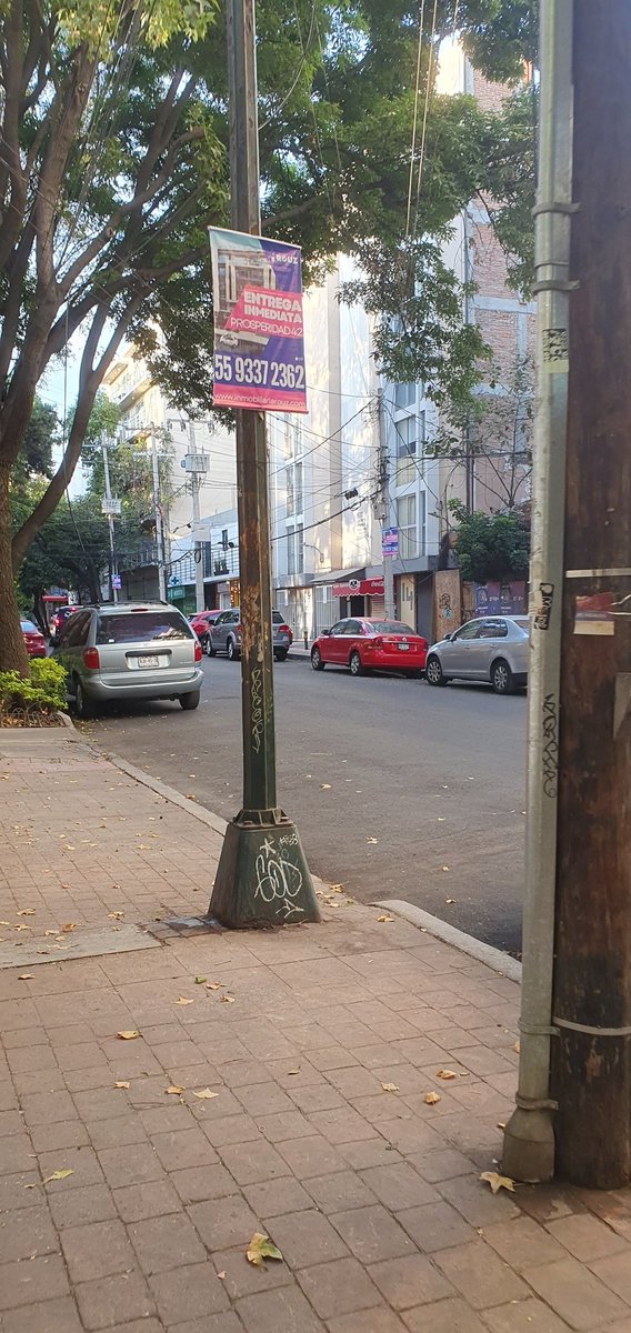 Así toda la #Escandon saturada de la propaganda del #cartel inmobiliario  <a href="/AlcaldiaMHmx/">Alcaldía Miguel Hidalgo</a> <a href="/mauriciotabe/">Mauricio Tabe Echartea</a> <a href="/SOBSECDMX/">Secretaría de Obras y Servicios CDMX</a> #CalleProsperidad . <a href="/MHGOByJ/">Gobierno y Asuntos Jurídicos MH 2024-2027</a>