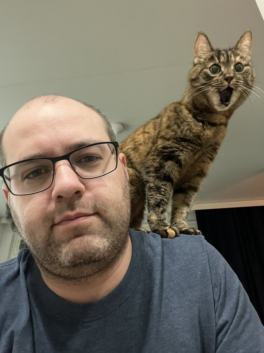 Le Chat 🐈 tweet media