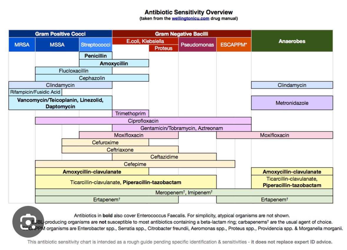 antibiotic cheat sheet