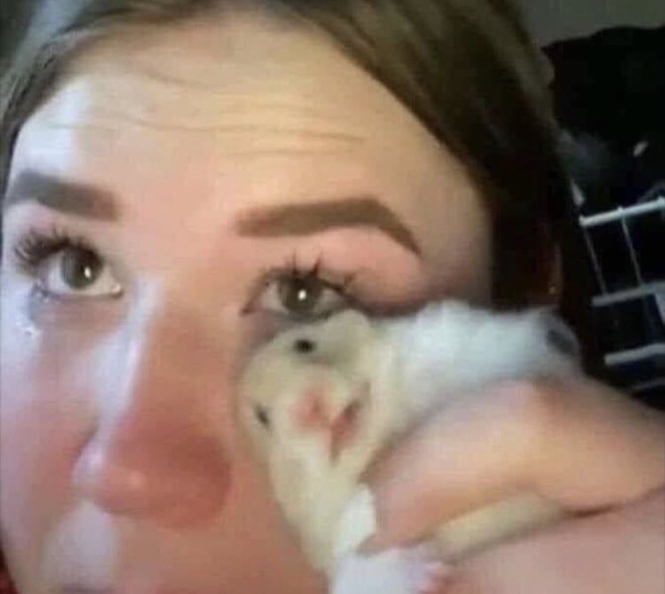 yall the persian version was SOOO good. i cried so much in the cinema