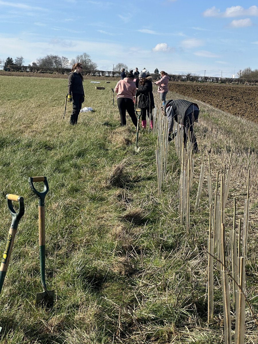 Great days planting with @TCVHumber @HumberForest @RCSP81 Day 1 of 3 days to plant hedging, a woodland and orchard in Winterton #WintertonFriends
