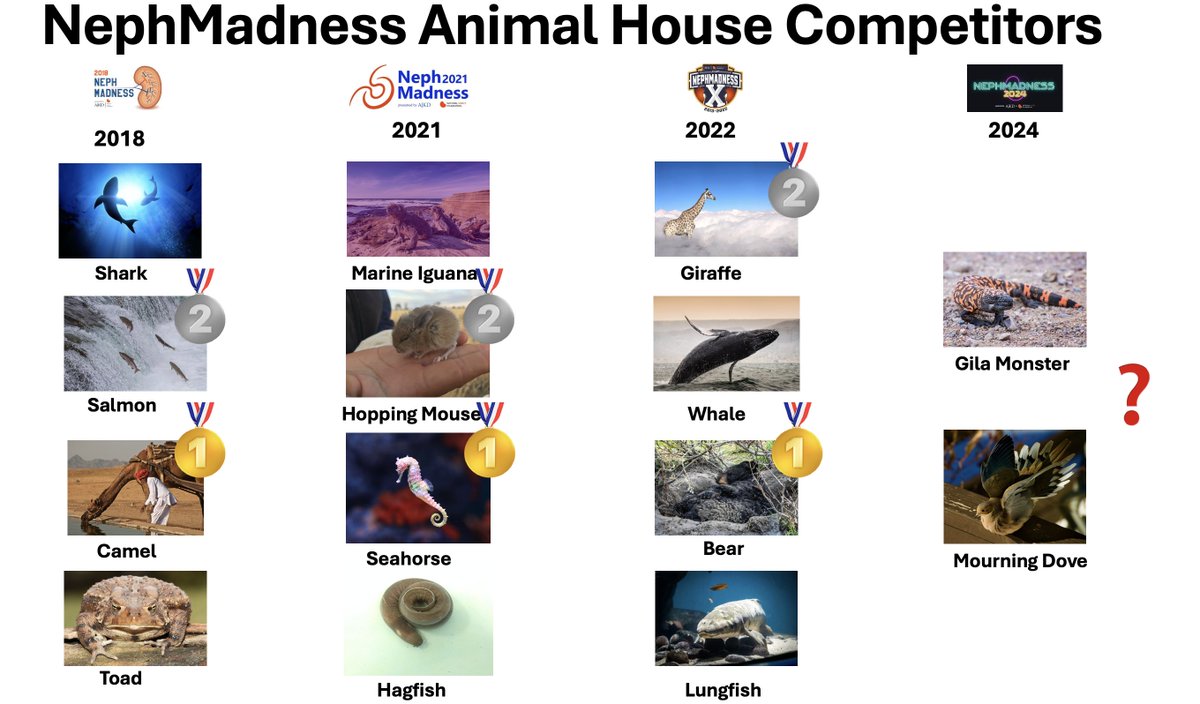 Samira Farouk, MD, MSCR (@ssfarouk) on Twitter photo We need an #AnimalHouse only #NephMadness tournament.
Who will join 🐪 🌊🐎🐻 in the winner's circle? <a href="/dove_noglut4/">THE Mourning Dove</a> <a href="/Gila_NephMad/">Gila The NephMadness Monster</a>
ajkdblog.org/2024/03/01/nep…
<a href="/AJKDonline/">AJKD</a> <a href="/NephMadness/">NephMadness</a> We need an #AnimalHouse only #NephMadness tournament.
Who will join 🐪 🌊🐎🐻 in the winner's circle? <a href="/dove_noglut4/">THE Mourning Dove</a> <a href="/Gila_NephMad/">Gila The NephMadness Monster</a>
ajkdblog.org/2024/03/01/nep…
<a href="/AJKDonline/">AJKD</a> <a href="/NephMadness/">NephMadness</a>