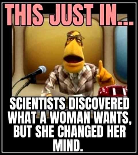 Neilfan12's tweet image. 🔬💃🤦‍♂️ #Scientists #Women #ChangedMind 🤦‍♂️💃🔬