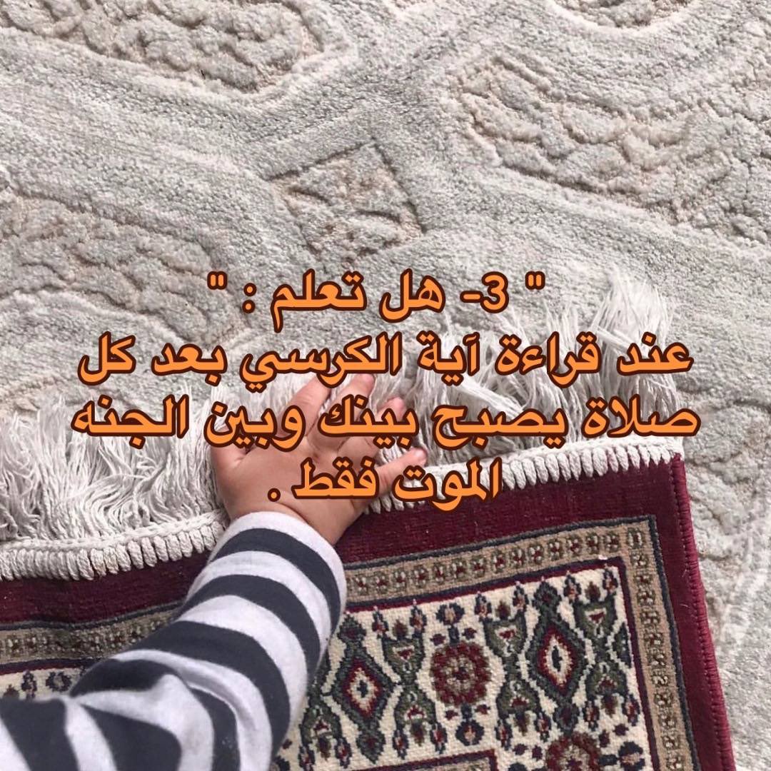 ‏قُوس tweet media