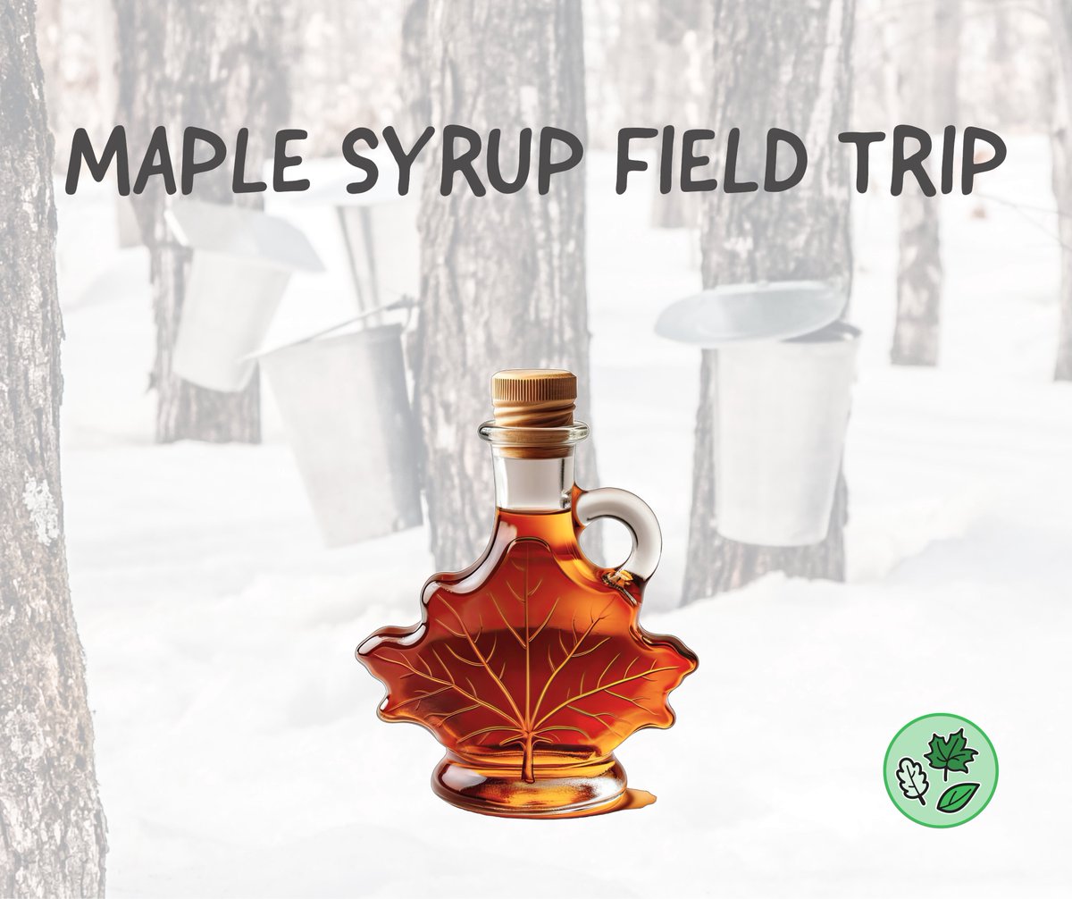 Students in Grades 7 and 8 are tuning in to <a href="/AgScapeON/">AgScape</a>'s virtual tour of <a href="/wheelersmaple/">Wheelers Maple</a> today.

Here's what we'll get to see!
🌳 A farm with more than 40,000 sugar maple trees
🥞 The maple syrup production process
🍁 The world's largest collection of maple syrup artifacts