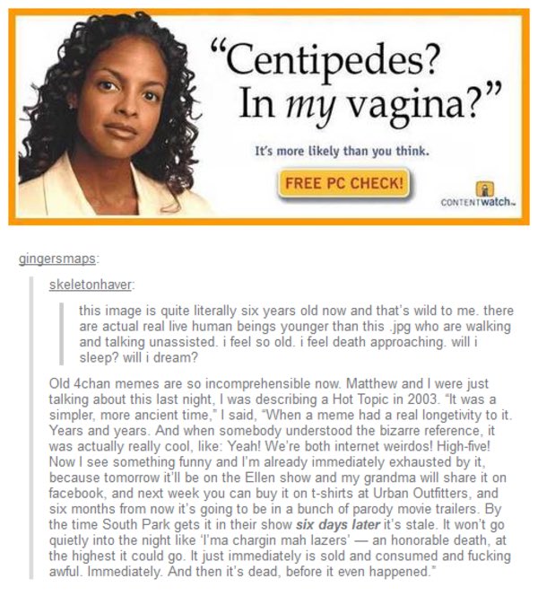 The state of internet culture can be summed up pretty well by this tumblr post.