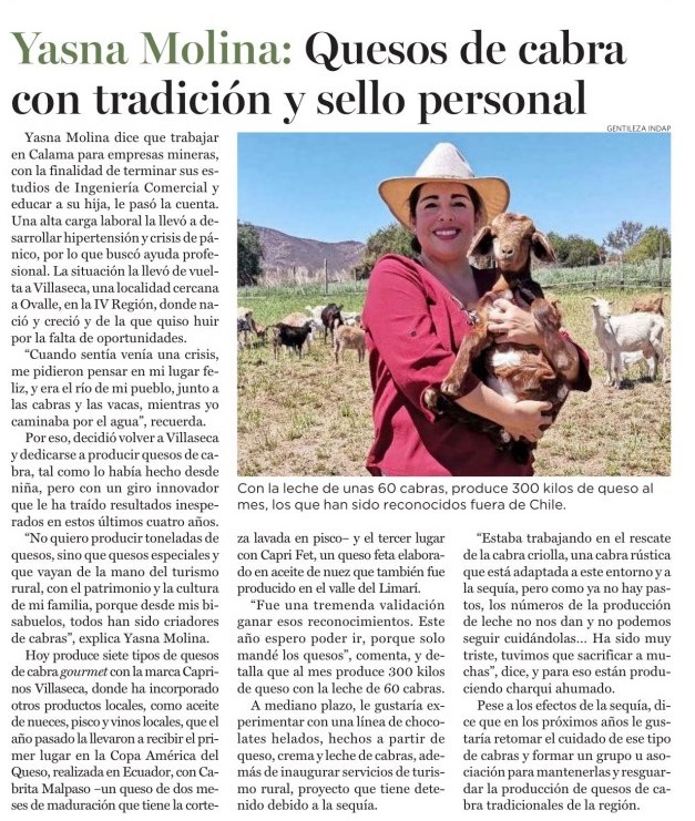 Excelente noticia 🗞️ En @indap_coquimbo felicitamos👏a Yasna Molina, usuaria de la comuna de #Ovalle, quien hoy es destacada en la Revista del Campo de @ElMercurio_cl a través de su emprendimiento Caprinos Villaseca🐐 Te invitamos a leer su historia de vida y trabajo acá👇