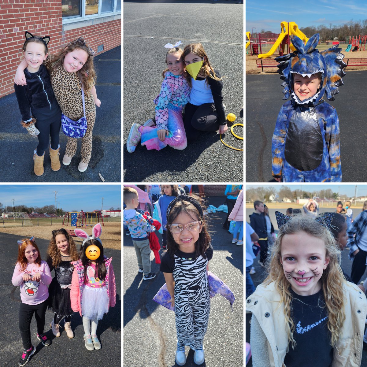 Lindsay Burnett tweet media