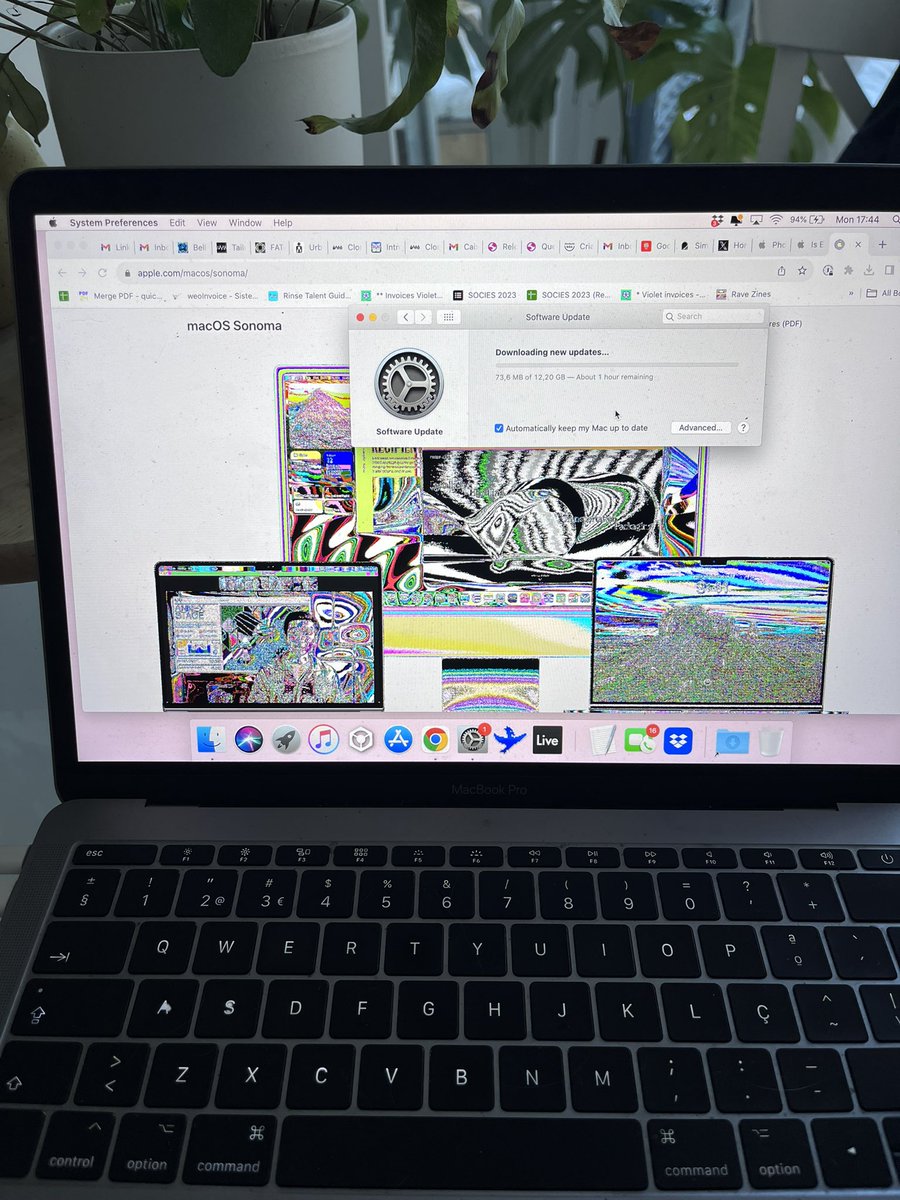 Violet / naive 🇵🇸 tweet media