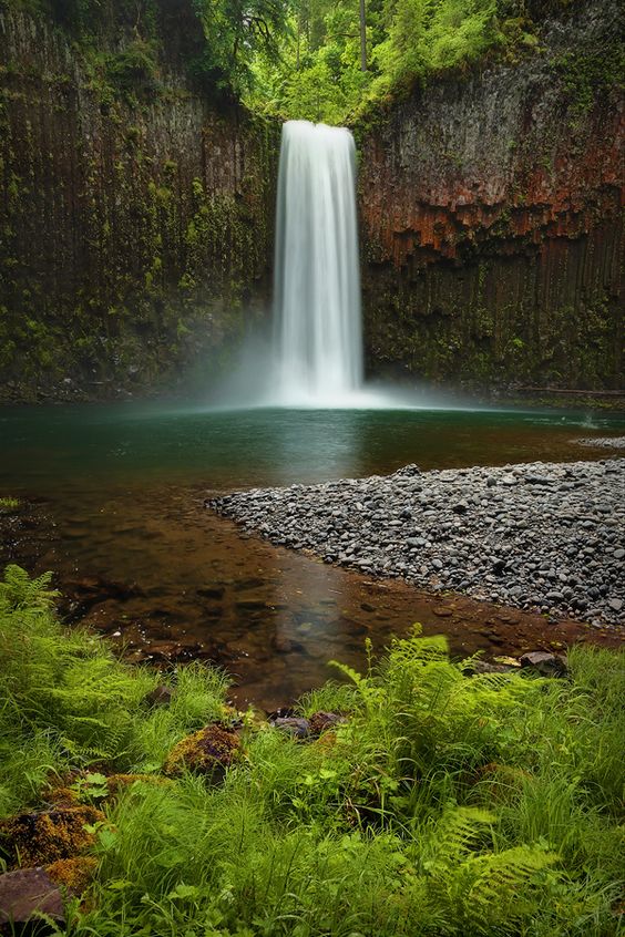 *•.¸♡ One small positive thought can change your whole day ♡¸.•*