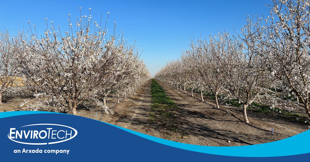 EnviroTech_Chem's tweet photo. Almond orchards are in full bloom around the Central Valley of CA. And it's time 2 review irrigation best practices to keep irrigation lines flowing. Avoid clogged or fouled irrigation lines w/ Irrigation Line  Cleaner. Learn more at https://t.co/HFasoU9QS2
 #dripirrigation https://t.co/t86GcLlK8j