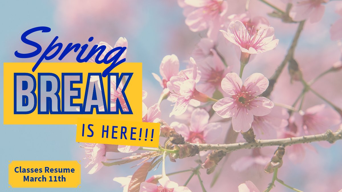 BCUMediaComm's tweet image. 🌴☀️Spring Break is here, time to soak up the sun and have some fun! Whether you're hitting the beach or chilling poolside, make sure to relax and enjoy every moment. Let go of stress and embrace the good vibes. Life is better in flip flops! 🏖️🍹 #springbreakfun #relaxandenjoy