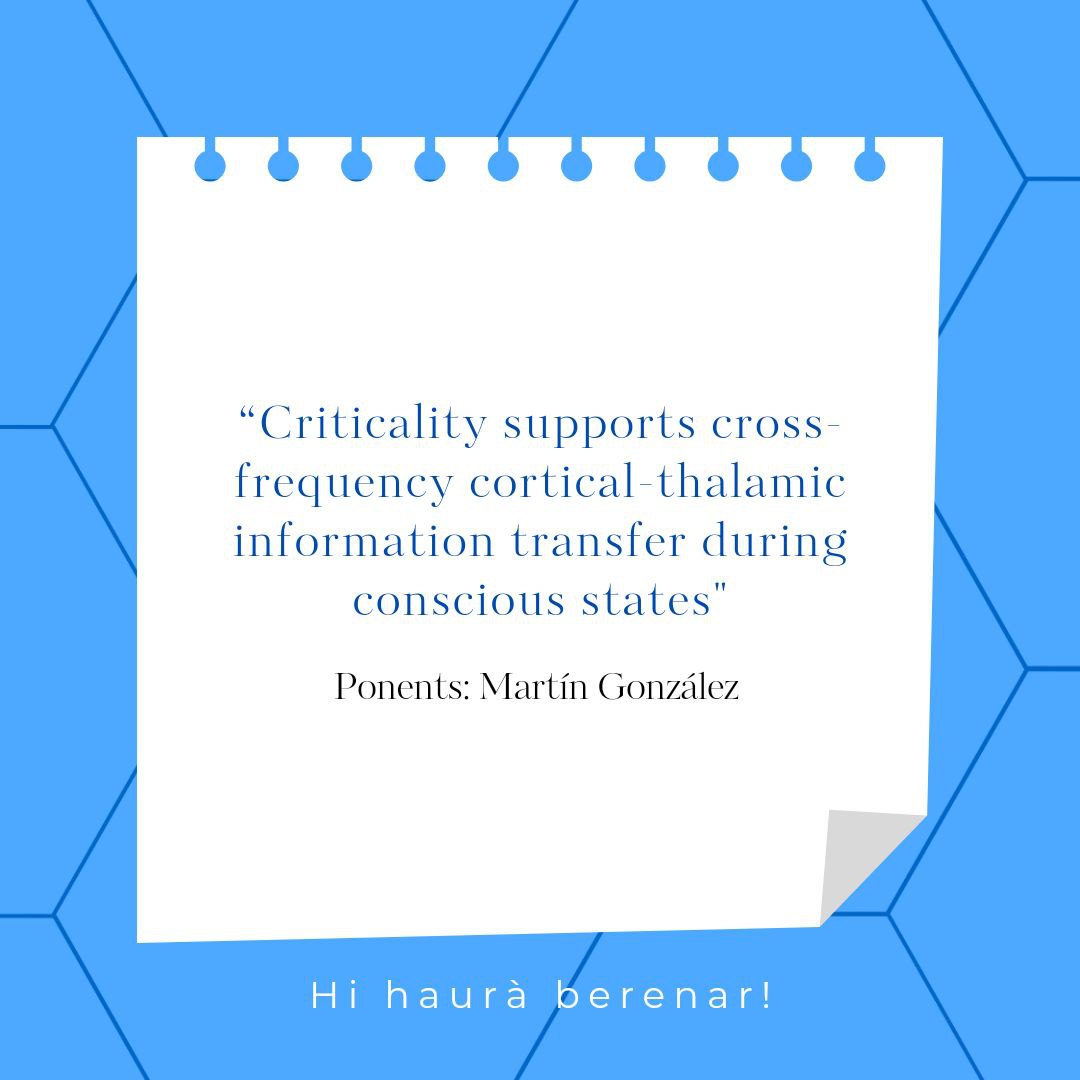 Societat Catalana Nanociència i Nanotecnologia tweet media