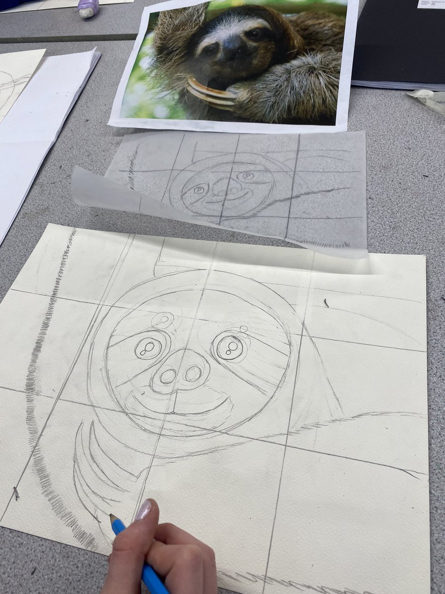 Year 6 pupils mastering using the grid method to accurately draw and enlarge. Finished animal watercolour paintings soon! <a href="/CN_Year6/">Castle Newnham Year 6</a> <a href="/CastleNewnham/">Castle Newnham</a>