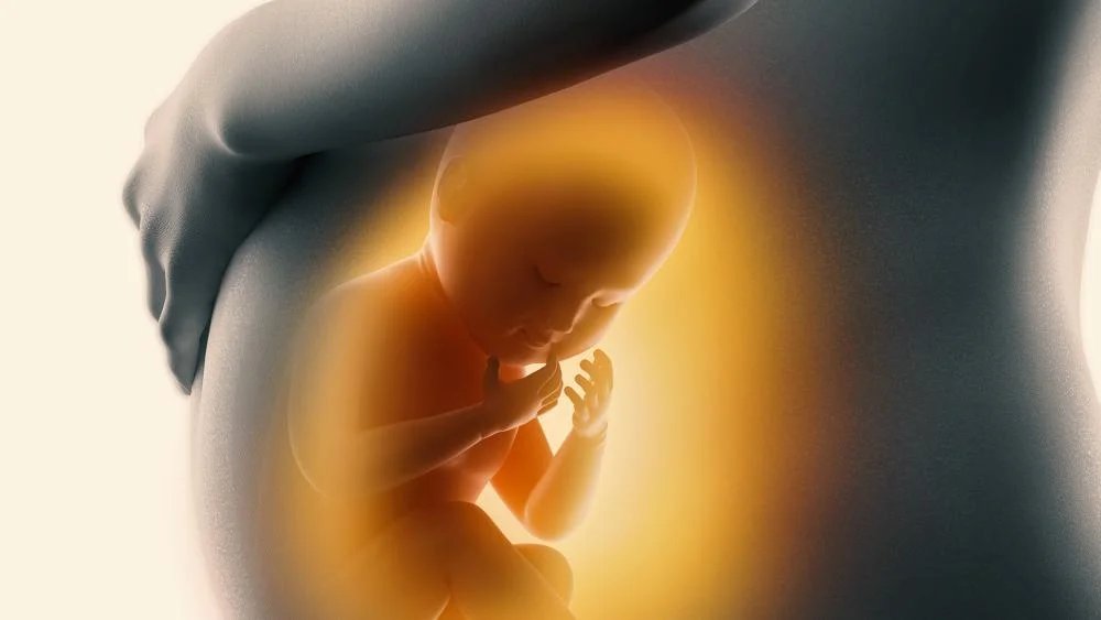 mundocristiano's tweet photo. 🚨"Alianza Evangélica Cristiana Brasileña emite comunicado sobre protección de la vida del no nacido. Un compromiso con valores fundamentales. 🙏👶 #ProtecciónDeLaVida #NoNacido #Brasil"
➡️ Puede ver más en:https://t.co/DjK9dv90ty https://t.co/IHnElxZhjF