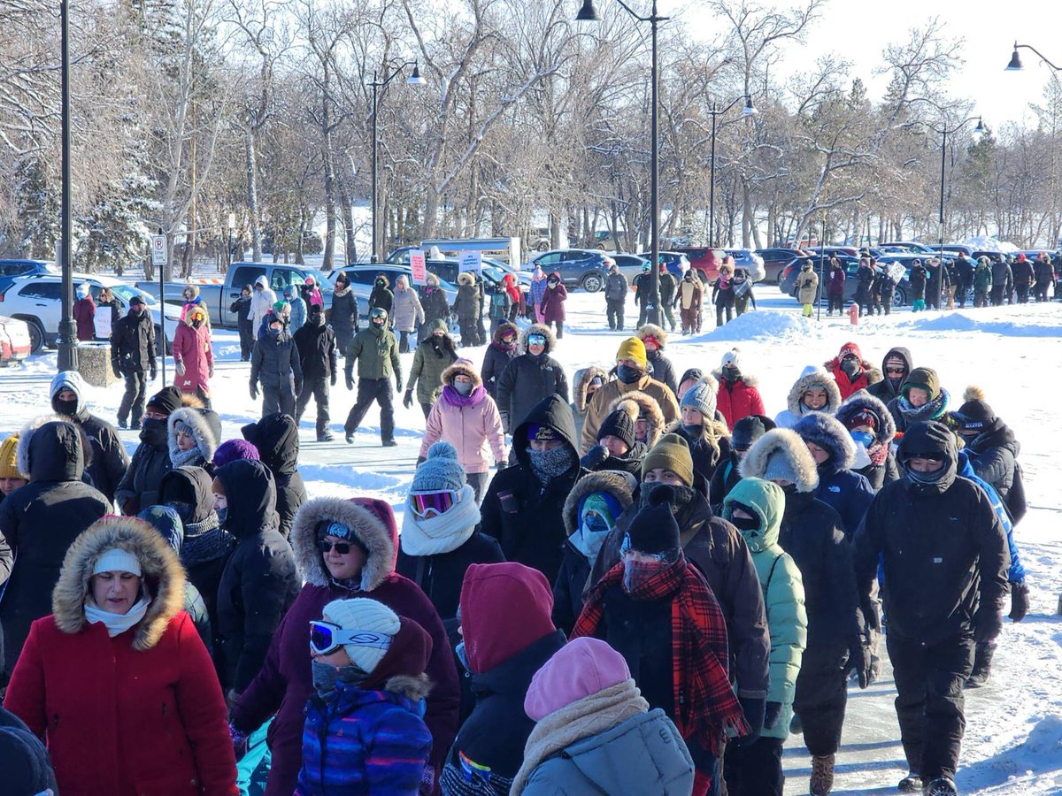 Saskatchewan Teachers' Federation tweet media