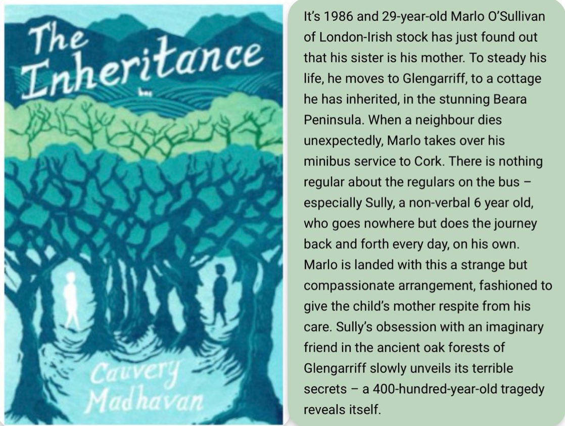 My 4th book out 19th Sept! Pre-order: buff.ly/3TglOcM RTs much appreciated 🙏🏽@hoperoadpublish #TheInheritance