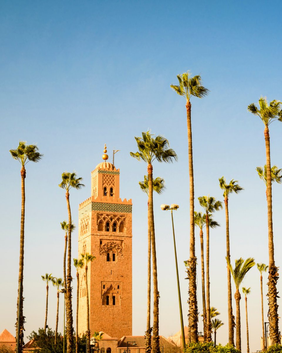 civitatis_fr's tweet photo. Qui a prévu de partir à Marrakech prochainement ? ☀️🌴🧳

Parce que Civitatis a concocté un guide totalement gratuit pour que vous ne perdiez aucune miette de cette merveilleuse destination  ! 🤓 😍

➡️ https://t.co/OEECI1L8qJ https://t.co/lXBHecrxsF
