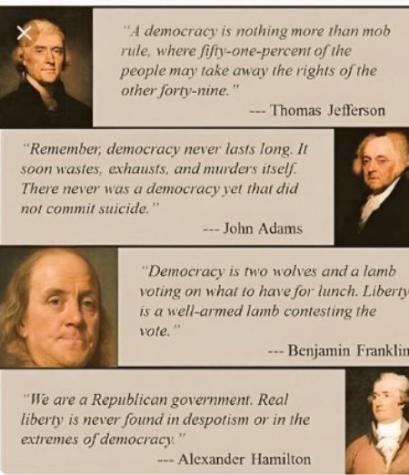 🚨🚨🚨 Dear Willfully Ignorant Left, America is a Constitutional Republic NOT a Democracy. The Founding Fathers Made this Point Crystal Clear