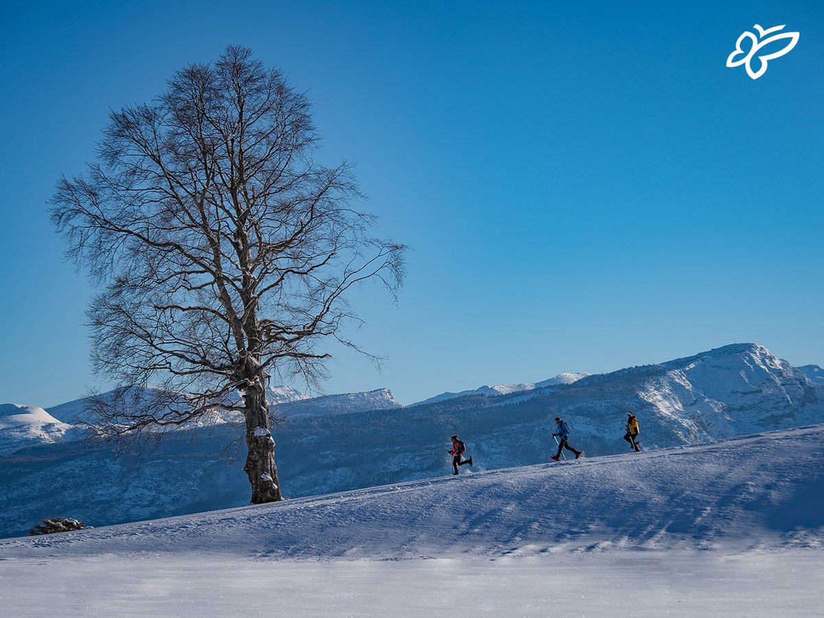 Trentino is full of places to experience an adventure in the company of your trusty snowshoes, in places full of beauty far from the beaten track ➡️ tinyurl.com/Snowshoes-TW [📍 @visitrovereto |📷 T. Prugnola] #visittrentino #trentinowow #winterintrentino