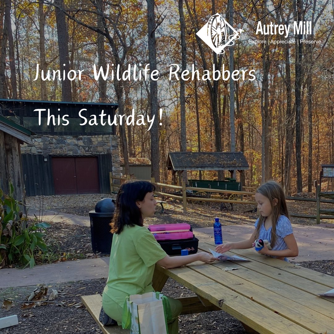 autreymill's tweet image. This Saturday is our beloved Junior Wildlife Rehabbers Program! Your Junior Wildlife Rehabber can bring their favorite stuffed animal for a check-up at our Wildlife Clinic! Hurry and register now! autreymill.org/jr-wildlife-re…