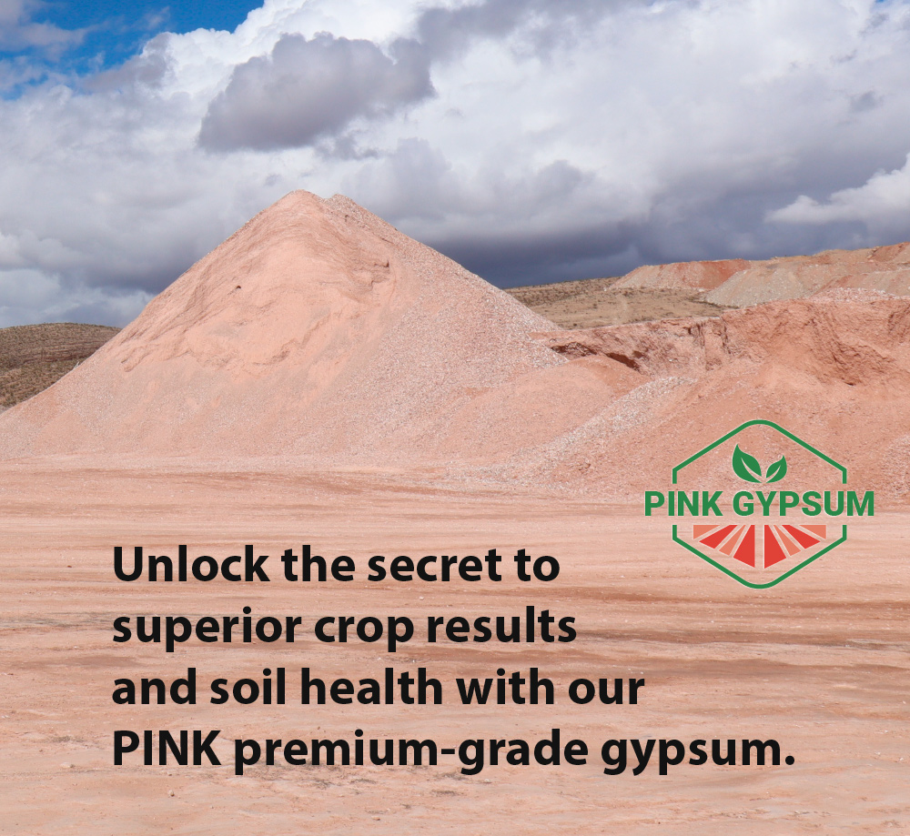realPinkGypsum's tweet image. 📷📷 Elevate Your Crop Game with our High Grade Gypsum! 📷Unlock the secret to superior crop results and soil health with our Pink premium-grade gypsum. #CropOptimization #SoilHealth #HighGradeGypsum #BountifulHarvests #bulkgypsum #agriculture