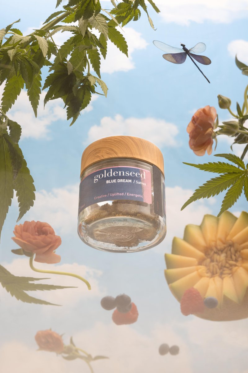 Embark on a blissful journey with Blue Dream, where the soothing waves of euphoria meet the calming embrace of relaxation. A strain that effortlessly balances creativity and tranquility, painting your world in shades of serene blue. 🌀✨🌱

📸 by @letitiayounger