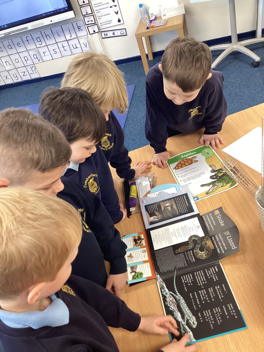 ComberbachMrsSW's tweet photo. In today’s #ComberbachScience lesson, our enquiry type was Research. Each team looked at a different class of animal and researched: What do they look like? Do they lay eggs? Where do they live? We are experts now - ask us all about it! @ComberbachMissM https://t.co/LGNlUdvBi7
