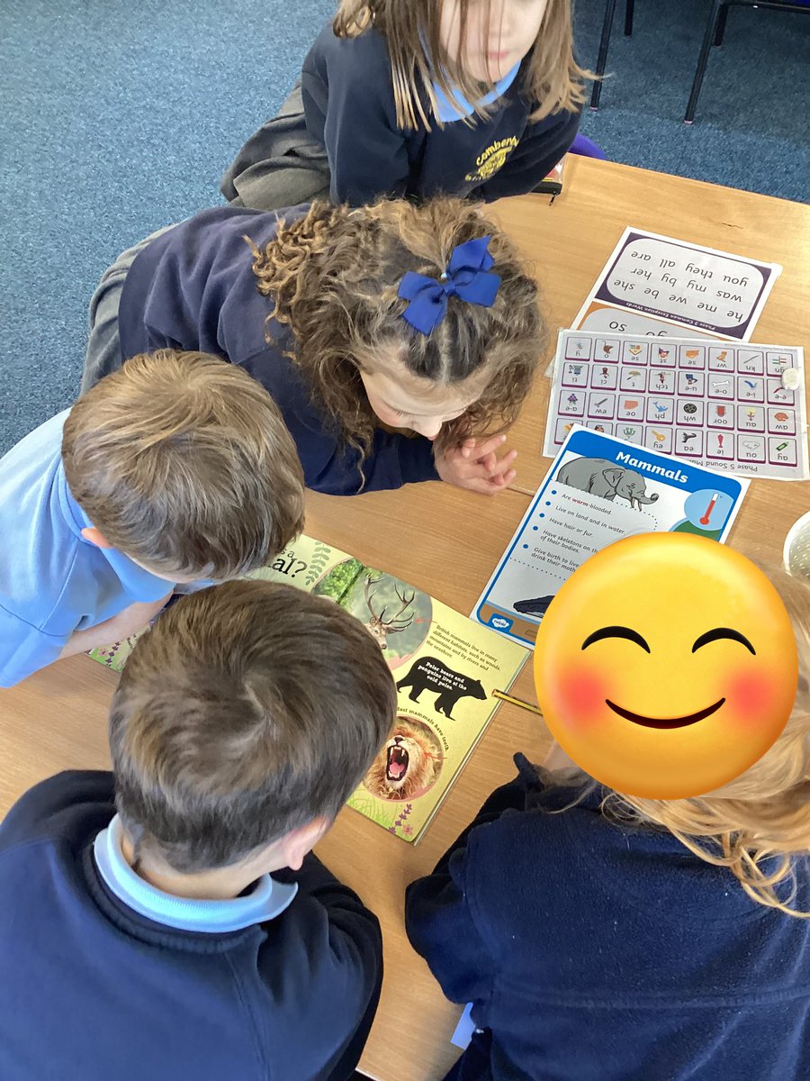 ComberbachMrsSW's tweet photo. In today’s #ComberbachScience lesson, our enquiry type was Research. Each team looked at a different class of animal and researched: What do they look like? Do they lay eggs? Where do they live? We are experts now - ask us all about it! @ComberbachMissM https://t.co/LGNlUdvBi7