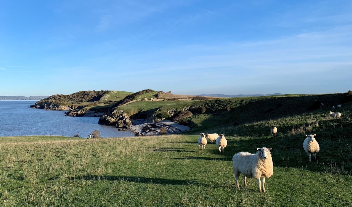 We're looking for a motivated Assistant Wildlife Manager to join our team.

The role will cover a diverse area including the Quantock Hills, North Somerset coast and Mendip Hills.

Find out more and apply here 👇
bit.ly/NTAsstWildlife…

#NationalTrustJobs