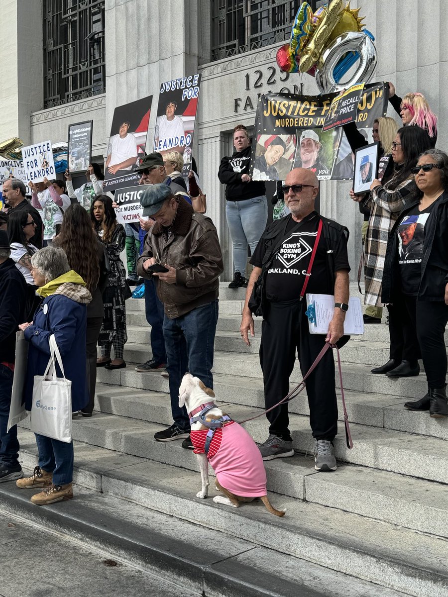 lenraphaelcpa's tweet photo. Daisy the Pit and I at Recall Price rally. 123,000 signatures submitted today far in excess of required mumber. https://t.co/VsOx3IwmtW
