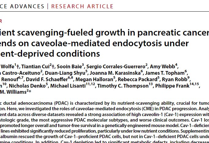 Congrats to @AdamWolfeMDPhD, @cui_tiantian, and the rest of the stellar team for the @ScienceAdvances publication on nutrient scavenging in #pancreaticcancer. 👏
The work uncovers a pivotal role for caveolae-mediated endocytosis (CME) in fueling #PDAC growth.   #pancsm #gism