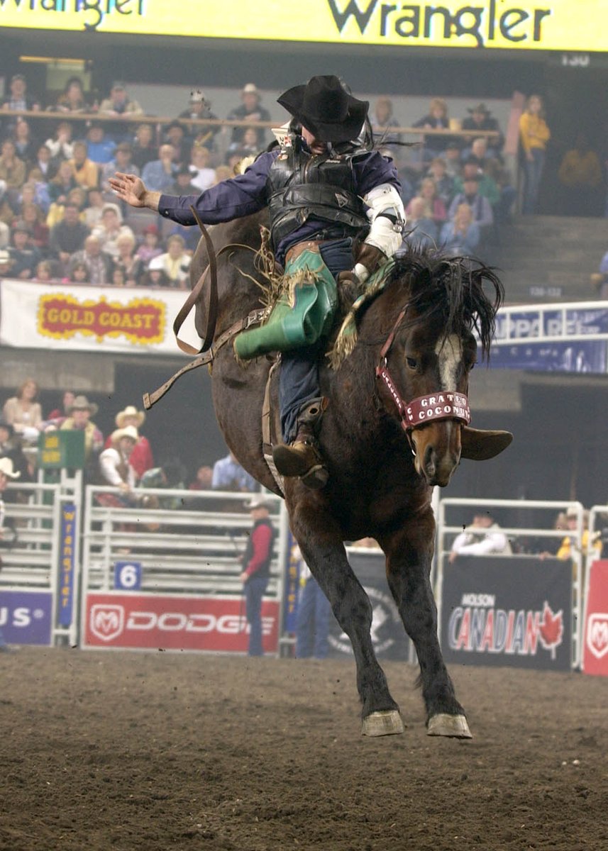 Earlier this year, we lost superstar bucking horse Grated Coconut. 

Our Stock Expert, Clay Creasy, gives us a first-hand look at the impact of this great horse in the latest edition of the Canadian Rodeo News.

Read it here - bit.ly/3P5r9Rw

#prorodeocanada #prorodeo