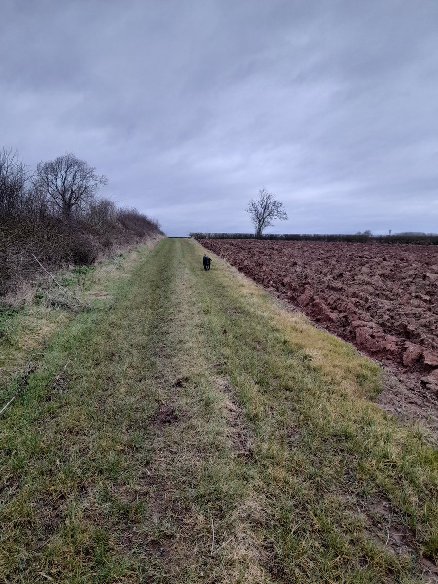 @garyb007 @SEGROplc They want to do the exact same thing here.Productive agricultural land #responsiblesegro,no community engagement, jumping on back of Freeport status & think we're stupid not to realise their scoping activity on A453! Lots of #greenwashing used by them. What a legacy they leave!