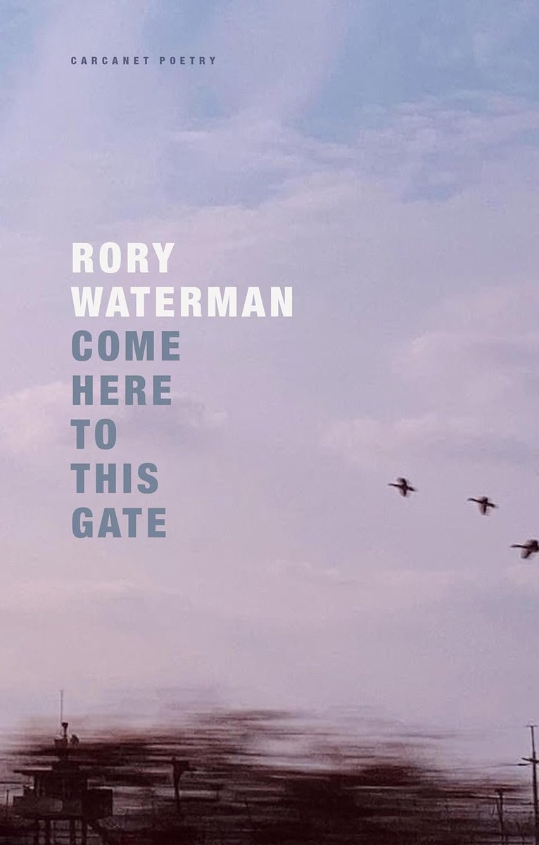Rory Waterman tweet media