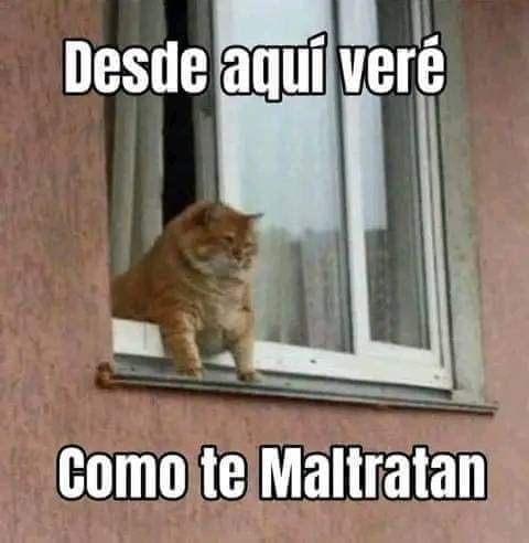 room_438's tweet photo. Cuando mi amigo regresa con su ex. https://t.co/m45PR311it