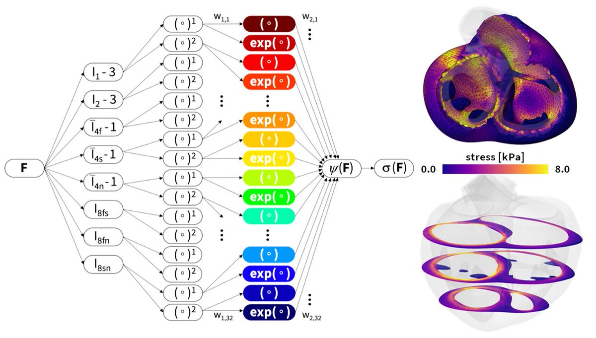 Do you have a 🫀 for #machinelearning and #biomechanics?

Then check out our latest preprint in which we discover the most optimal #constitutive #model for #human #cardiac #tissue 👇

biorxiv.org/content/10.110…