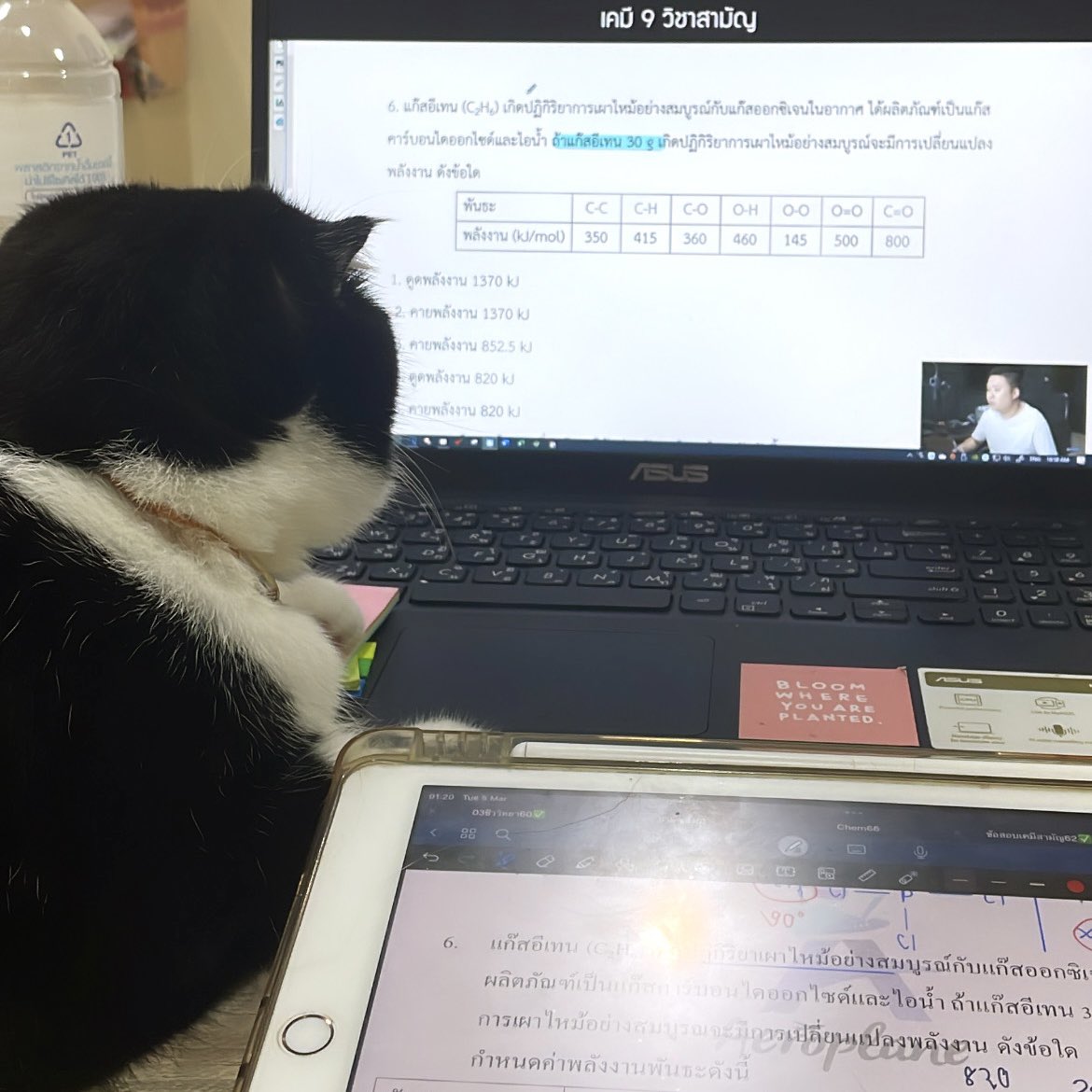 grimmiexstudyy_'s tweet image. ตั้งใจเรียนมาก เหมือนติวสอบเอง