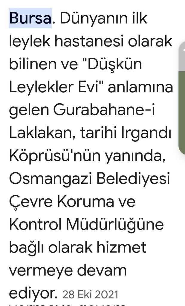 olcay_dignef's tweet photo. Leylekler Türk göçebe kültürü için önemlidir.Bursada kurulan ilk leylek hastanesi, yine Bursa’da geçen leylek ve kartalların savaşı.Leyleklerin göç güzergahı. Ve bir leylekle bir balıkçının ilginç dostluğu. 
Çok hikayesi var memleketin.

#RehberTurizminSigortasıdır https://t.co/pZPdhWg8c8
