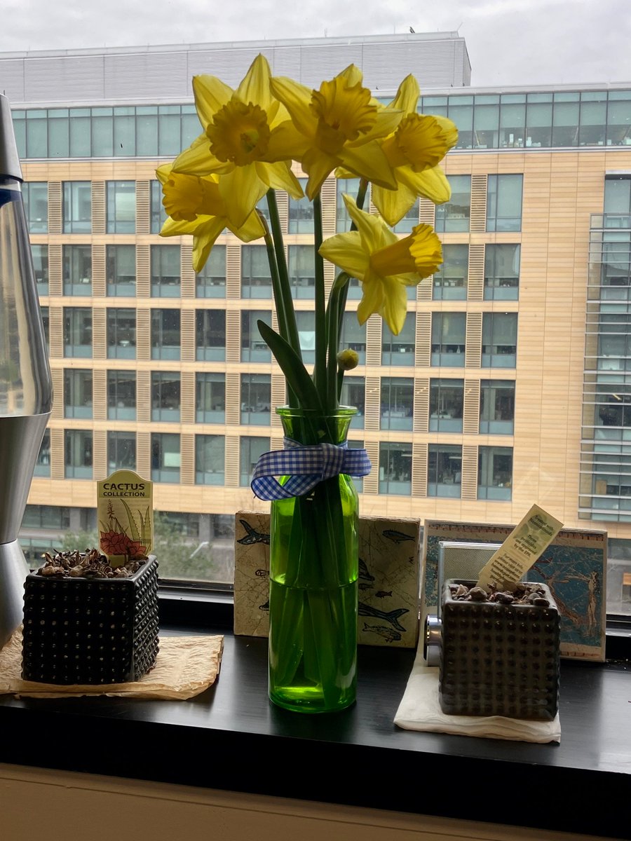 Eric H. Cline tweet media