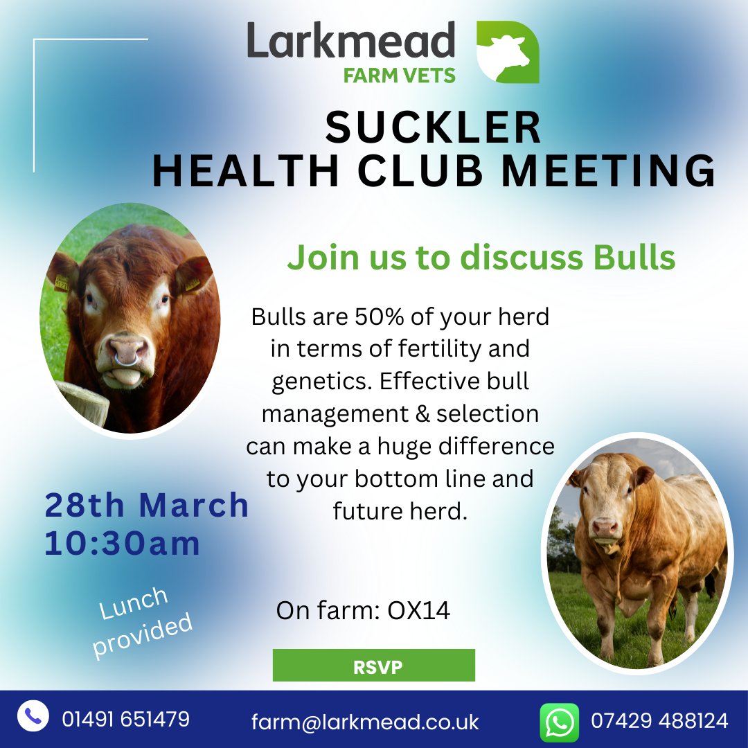 Our next Suckler Health Club members meeting is on the 28th of March on farm to discuss all things bulls 🐂 - find out more about membership on our website or speak to your vet: larkmead.co.uk/farm-vets/farm…