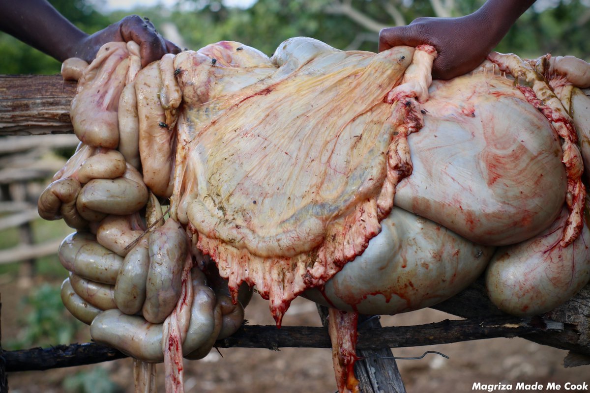 MagrizaMMC's tweet photo. Amantshontsho » An Expression of Gratitude!

The term amantshontsho, refers to an assortment of meat that is given to people who have assisted in the slaughtering of a cow. This is an idea for expressing gratitude to those who have helped the owner of the cow being slaughtered. https://t.co/ekHDzlGS9o