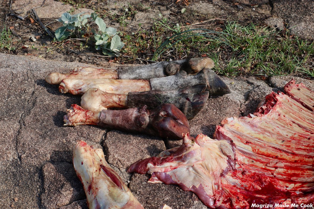 MagrizaMMC's tweet photo. Amantshontsho » An Expression of Gratitude!

The term amantshontsho, refers to an assortment of meat that is given to people who have assisted in the slaughtering of a cow. This is an idea for expressing gratitude to those who have helped the owner of the cow being slaughtered. https://t.co/ekHDzlGS9o
