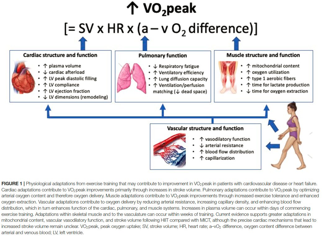PhysioMeScience's tweet photo. Optimizing Outcomes in Cardiac Rehabilitation: The Importance of Exercise Intensity

https://t.co/n0Ucl0pU0x https://t.co/9LKYk3LuYU