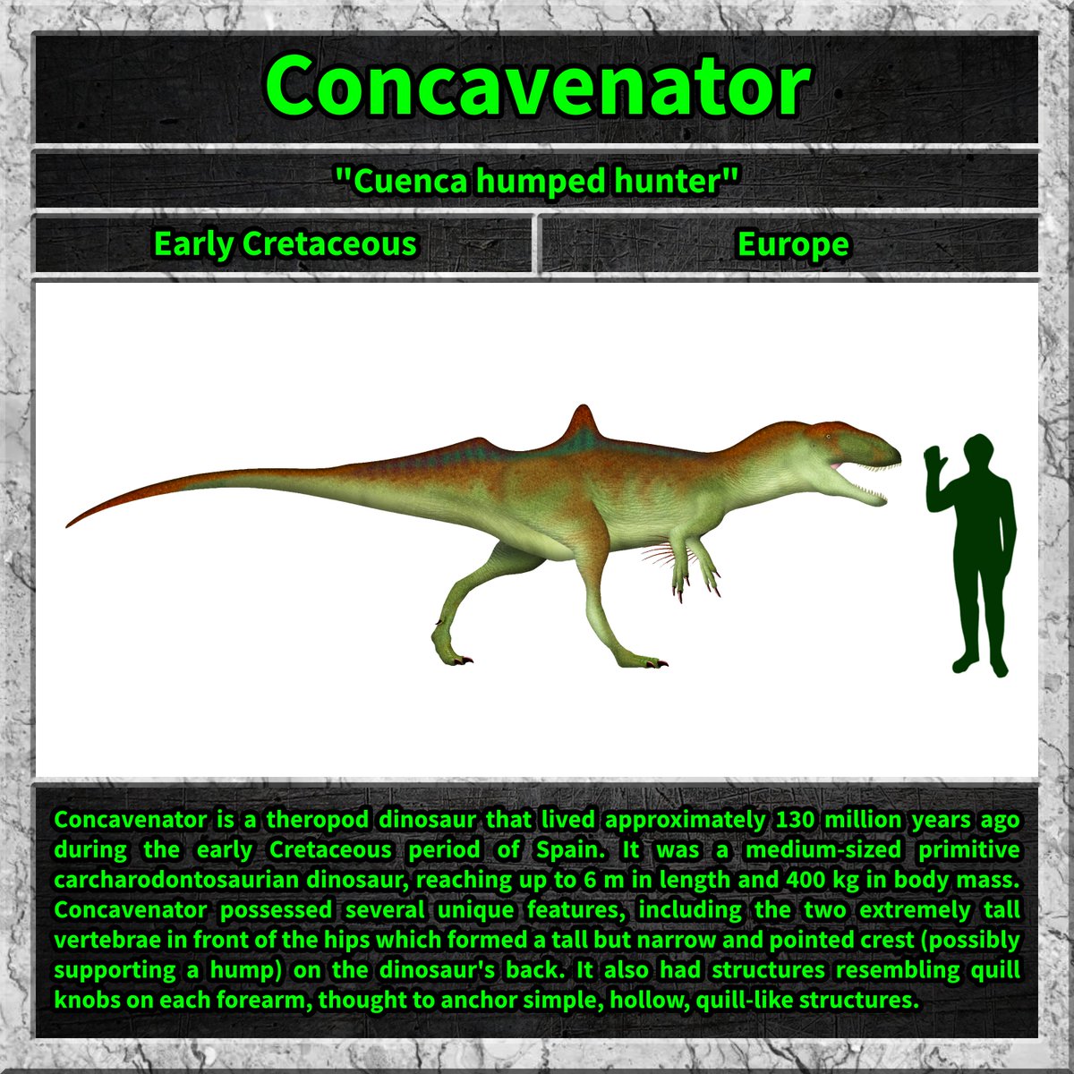 #concavenator #dino #dinosaur #dinosaurs #cretaceous