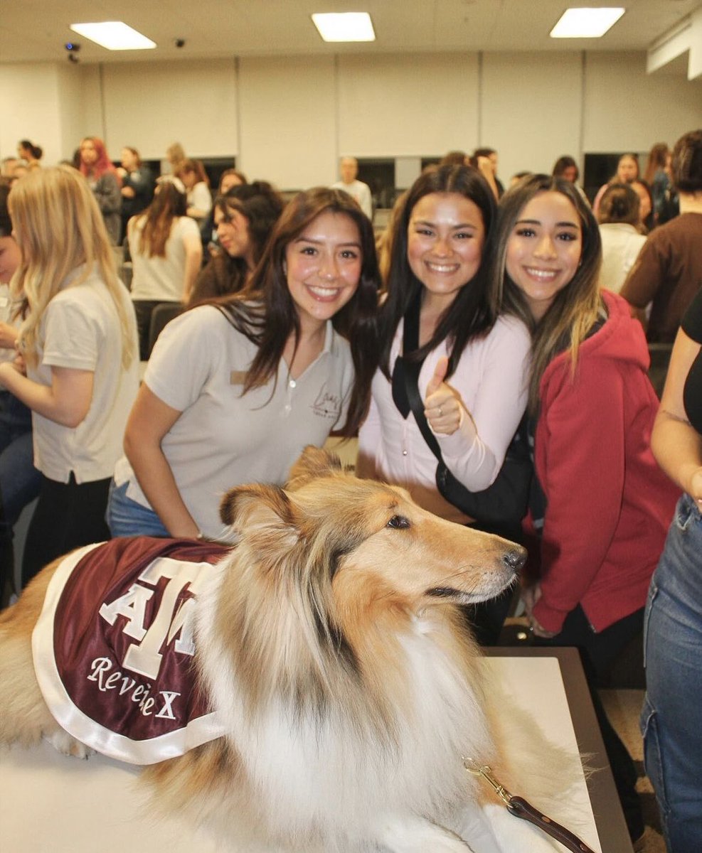 TAMULeias's tweet photo. Our members were so excited to see THE QUEEN OF AGGIELAND MISS REVEILLE at our last meeting!! Thank you @reveille for gracing us with your presence and showing off your adorable tricks!👍❤️⭐️ https://t.co/rFeRs94S30