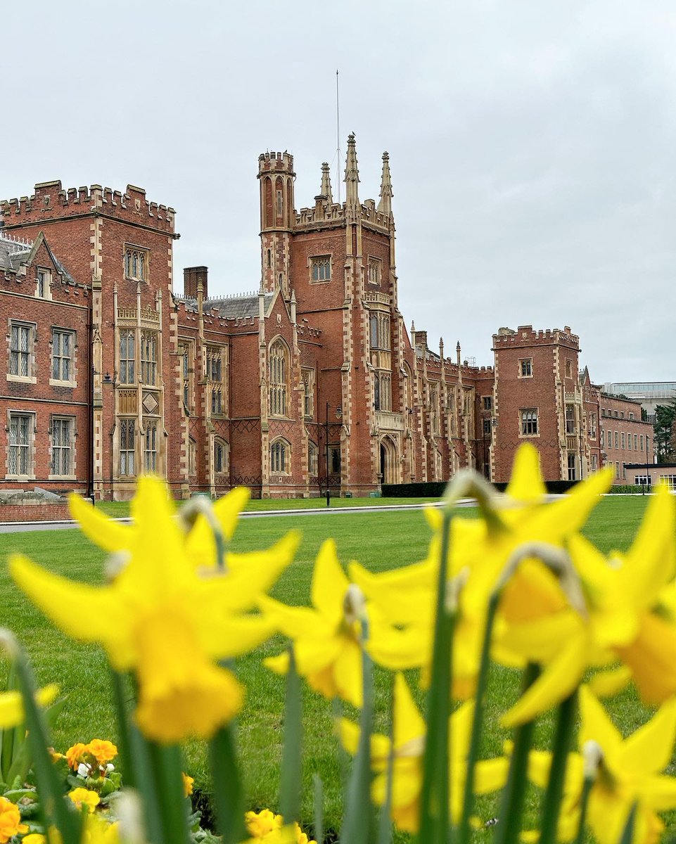 AIPEC24's tweet photo. Preparations are well underway at QUB to host the All Ireland Interprofessional Healthcare Conference 2024 on Thursday and Friday. We are looking forward to welcoming >90 delegates from across the island of Ireland to Belfast. #LoveQUB #AIPEC2024 #InterProfessionalEducation https://t.co/bsWiuxSOay