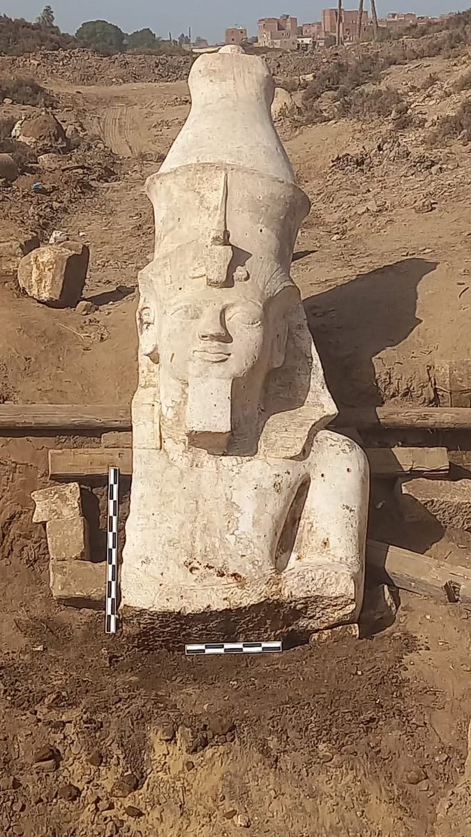 📢 ¡Nuevo descubrimiento arqueológico en Egipto!
Según ha anunciado el Mº de Turismo y Antigüedades, se ha descubierto la parte superior de una gran estatua de Ramsés II en Hermópolis Magna, la Jmun egipcia o ciudad de los 8 dioses, donde existía un templo dedicado al faraón🧵👇