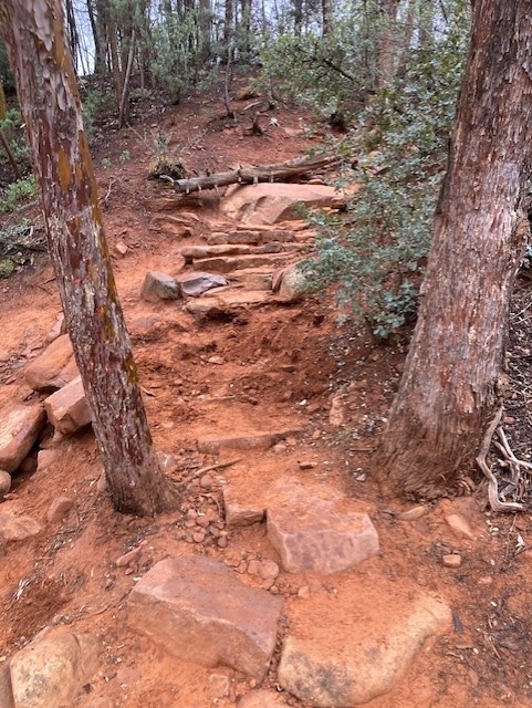 CoconinoNF tweet picture