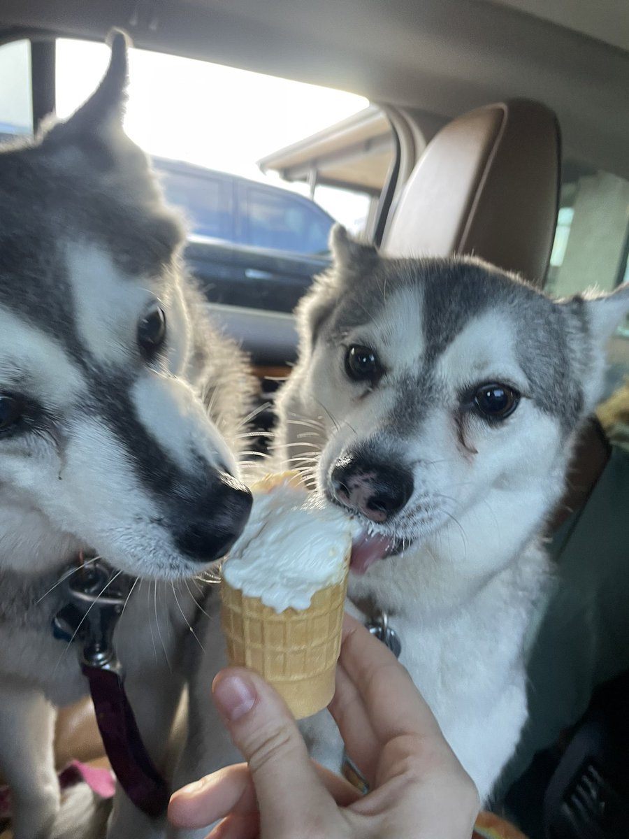 toristoriez's tweet photo. Sunday ice cream dates with my babies. missing a Wesley https://t.co/e1dgKEQ2Q7